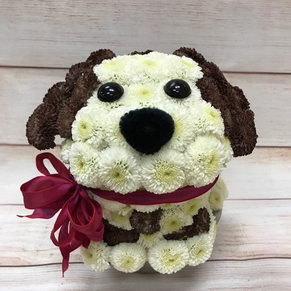 Meet your Posher, Kory - Picture 16 of 16